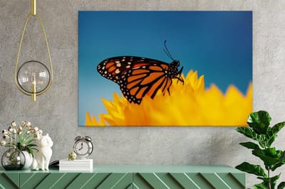 Artaza Canvas Schilderij Vlinder - 60x40 cm - Wanddecoratie Bloemen - Muurdecoratie Natuur - Decoratie Vlinders - Geel