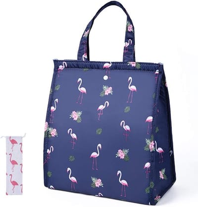 Praktische Vouwbare Lunchtas 25 x 16 x 30 cm voor Bento, Fruit en Snacks voor Schooluitjes met Bestekzak