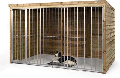 Wood Selections Hondenhok Beer - Hondenhokken en kennels - kennel - Dierenverblijf - hondenhuis- Hondenverblijf voor buiten
