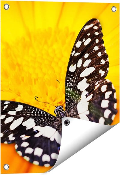 Gards Tuinposter Vlinder op een Oranje Bloem - 40x50 cm - Tuindoek - Tuindecoratie - Wanddecoratie buiten - Tuinschilderij