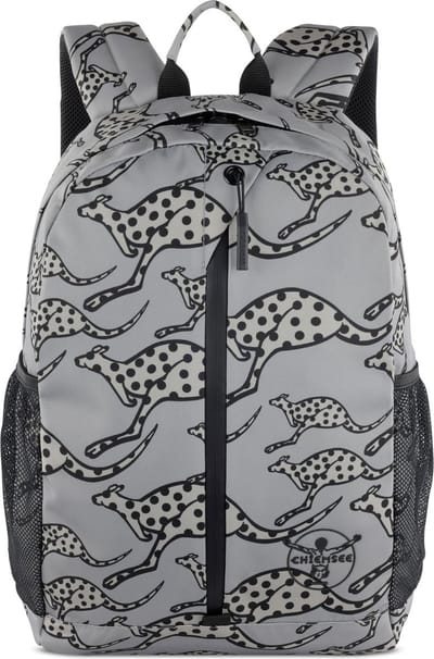 CHIEMSEE Vrije tijd rugzak Laptop rugzak met laptopvak Jump N Fly Backpack Grey Grijs