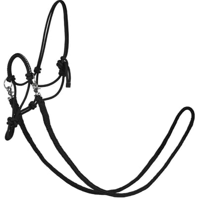 Halster voor paarden York Zirco