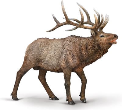 COLLECTA Figurine - Eland - (Xl) - Wilde Dieren - Handgeschilderd - Miniatuur