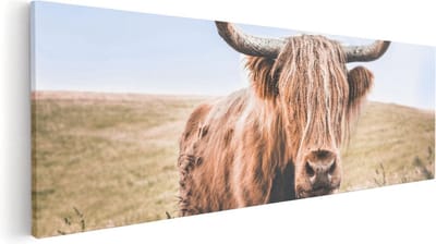 Artaza Canvas Schilderij Schotse Hooglander - 120x40 cm - Groot - Wanddecoratie Woonkamer - Muurdecoratie Dieren - Canvas Schilderij Hooglander