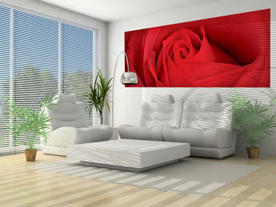 Flower Rose  Photo Wallcovering