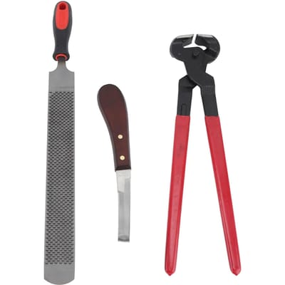 Kit d'outils de réparation de sabots Râpe en acier double face Kit d'outils pour parage de sabots pour chevaux, bovins, moutons, ânes