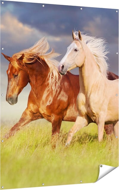 Gards Tuinposter Bruin en Wit Paard in de Wei - 120x160 cm - Tuindoek - Tuindecoratie - Wanddecoratie buiten - Tuinschilderij