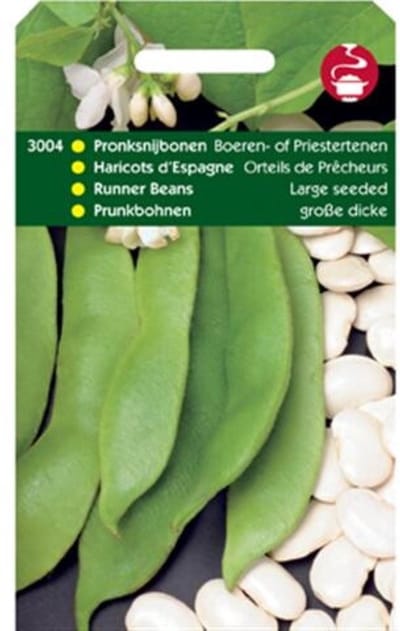 5 stuks Pronksnijbonen Grootz.(Boerentenen)