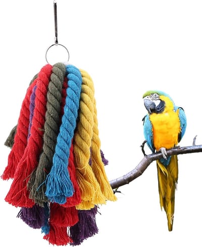 Kleurrijk Kauwspeelgoed Touw voor Papegaaien en Vogels