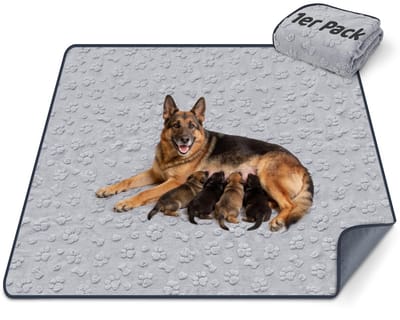 Dailygoods- Urine Pads - Puppy Pads - Onderlegger - Huisdier - 90 x 60 cm - Absorberend materiaal