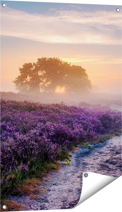 Gards Tuinposter Pad in de Weide van de Veluwe - 60x90 cm - Tuindoek - Tuindecoratie - Wanddecoratie buiten - Tuinschilderij
