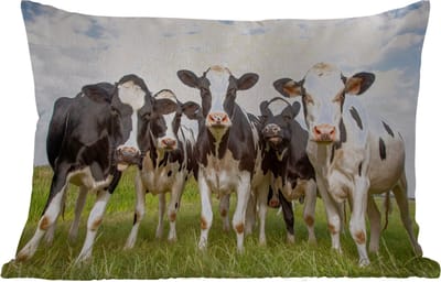 Buitenkussens - Koeien - Weiland - Dieren - Natuur - Gras - 60x40 cm - Weerbestendig