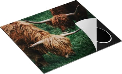 Chefcare Inductie Beschermer Twee Schotse Hooglanders grazen Gras - 60x50 cm - Afdekplaat Inductie - Kookplaat Beschermer - Inductie Mat