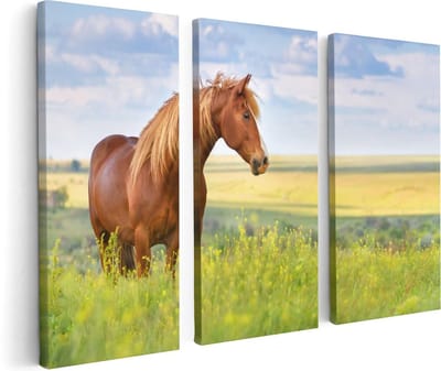 Artaza Canvas Schilderij Drieluik Bruin Paard In De Wei - 120x80 - Foto Op Canvas - Canvas Print