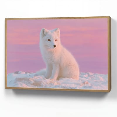 Nachtlampje 100x70 cm - Kinder lamp - Poolvos - Sneeuw - Roze - Tafellamp kinderkamer draadloos - Slaapkamer lampje - Bedlamp kinderen - Kinderlampje - Wandlamp babykamer - Nachtlampjes