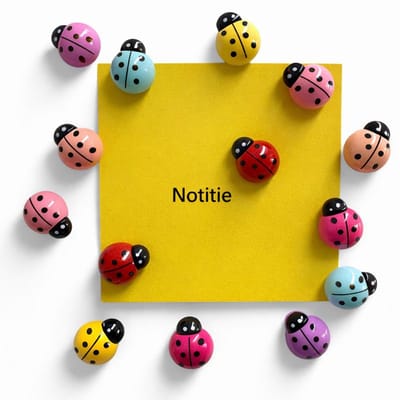 TLVX 14 stuks Vrolijke Lieveheersbeestjes Magneten 3D / Leuke Koelkast Magneet / Sterke Kleur Foto magneetjes / Whiteboard Magneet / Speel- en Leer Magneten / School / Boodschappenlijst / Notitie / Memo bord / Kantoor / Schoolbord Magneet set