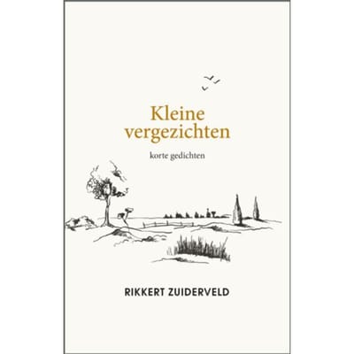 Kleine Vergezichten - Rikkert Zuiderveld