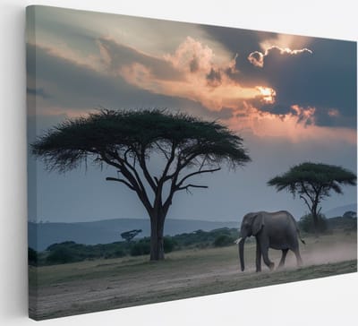 Saammp Canvas Schilderij - Olifant - Savanne - Dieren - 30x20 - Foto op canvas - Wanddecoratie - muurdecoratie Woonkamer - Slaapkamer decoratie - Canvas Print