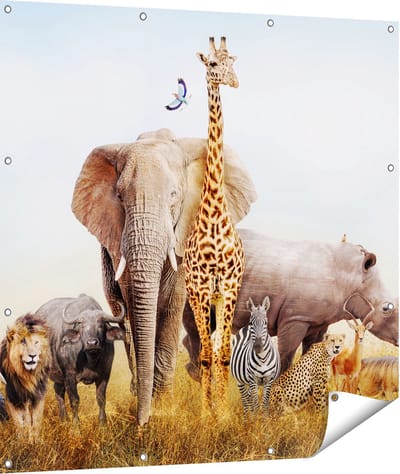 Gards Tuinposter Afrikaanse Dieren op het Gras - Afrika - 110x110 cm - Tuindoek - Tuindecoratie - Wanddecoratie buiten - Tuinschilderij