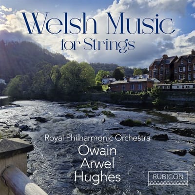 Royal Philharmonic Orchestra & Owain Arwel Hughes - Welsh Music For Strings (CD)