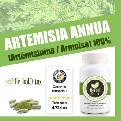 Voedingssupplement Herbal D-tox Artemisinine ~ Alsem (Artemisia Annua L) 100% Puur, 100 capsules x 500 mg