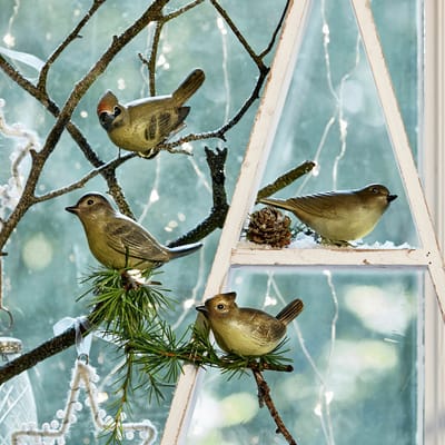 LOBERON Vogel set van 4 Pompaire bont