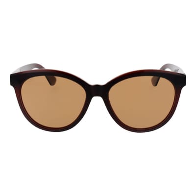 Serengeti Endee SS573002 glanzend bruin saturnus gepolariseerde bestuurders zonnebril