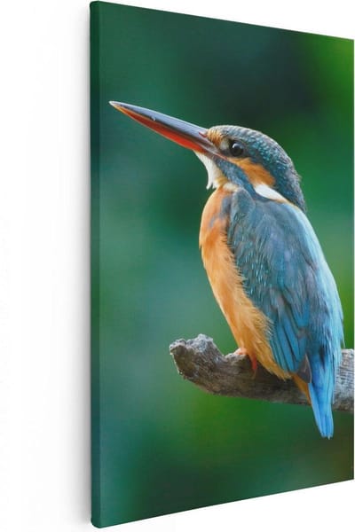 Artaza Canvas Schilderij Vogel - 20x30 cm - Klein - Wanddecoratie Dieren - Muurdecoratie IJsvogel Op Tak - Kamer Accessoires