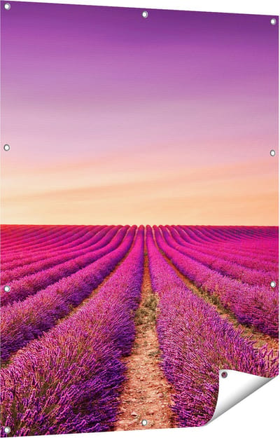 Gards Tuinposter Paarse Lavendel Bloemenveld - 90x120 cm - Tuindoek - Tuindecoratie - Wanddecoratie buiten - Tuinschilderij