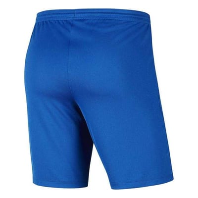 Nike Heren Dry Park III Korte Broek (Blauw)