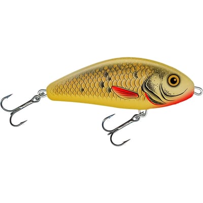 Lok Salmo F10F