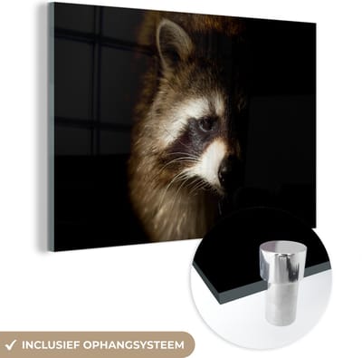 MuchoWow® Glasschilderij 120x80 cm - Schilderij acrylglas - Wasbeer - Wilde dieren - Zwart - Foto op glas - Schilderijen