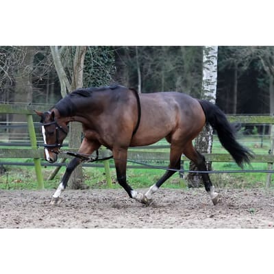 Horka Longeerhulp Met Ring Leer/katoen Zwart Maat Full
