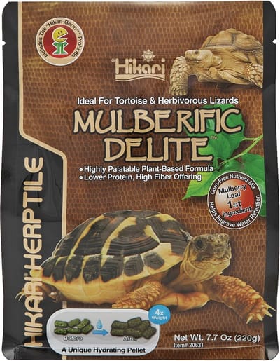 Hikari Turtle Mulberific