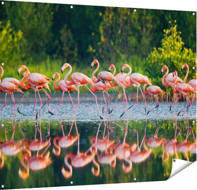 Gards Tuinposter Kudde Flamingo's op het Water - 150x120 cm - Tuindoek - Tuindecoratie - Wanddecoratie buiten - Tuinschilderij