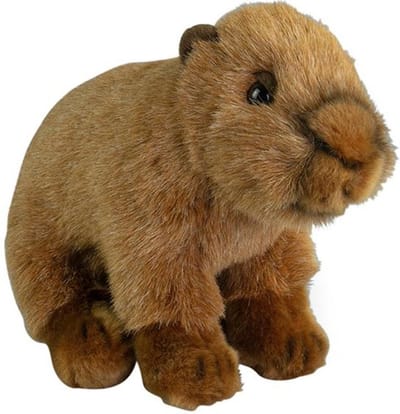 Nature Planet Knuffeldier Capybara - pluche knuffel - bruin - 20 cm - bosdier knuffel