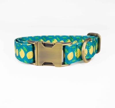 Luxe Halsband voor Honden-Metaal-Verstelbaar- 29 Cm-42Cm x 2,5 Cm-D11