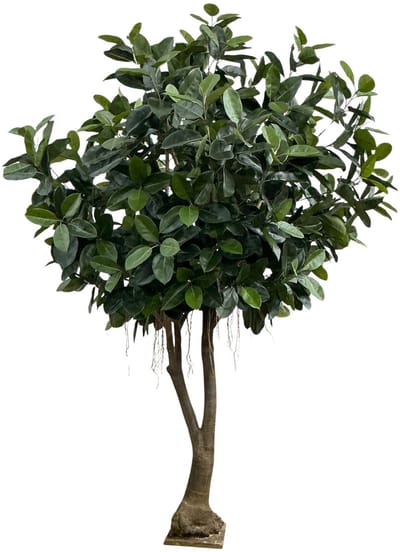 Ficus Elastica Robusta Kunstboom XXL Deluxe 350cm