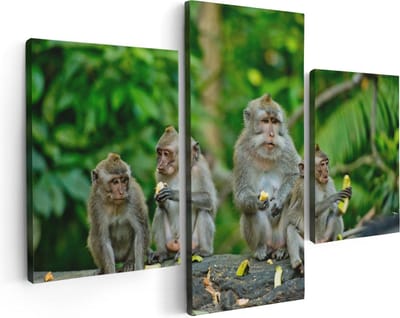 Artaza Canvas Schilderij Drieluik Groep Apen Eten Bananen In Het Bos - 90x60 - Foto Op Canvas - Canvas Print