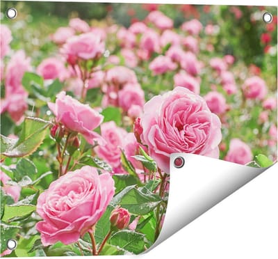 Gards Tuinposter Roze Rozen Bloemenveld - 50x40 cm - Tuindoek - Tuindecoratie - Wanddecoratie buiten - Tuinschilderij