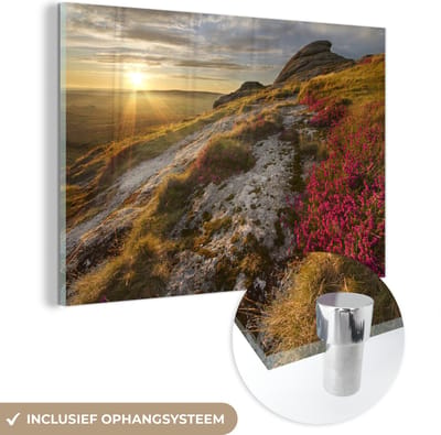 ® Glasschilderij 180x120 cm - Schilderij acrylglas - Roze bloemen op het heuvellandschap van het Nationaal park Dartmoor - Foto op glas - Muurdecoratie woonkamer - Wanddecoratie slaapkamer - Schilderijen