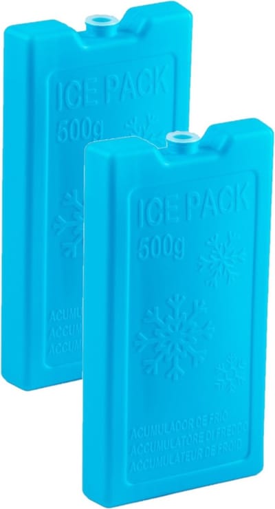 Plasticforte Koelelementen - 2x stuks - 500 grams - 20 x 10 cm - blauw - kunststof - voor koeltas en koelbox