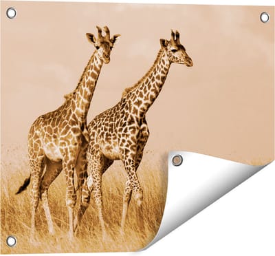 Gards Tuinposter Twee Giraffes in het Veld - 50x40 cm - Tuindoek - Tuindecoratie - Wanddecoratie buiten - Tuinschilderij