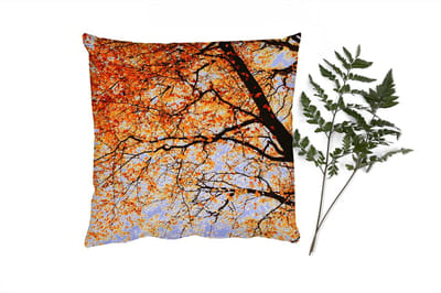 Sierkussens - Kussentjes Woonkamer - 40x40 cm - Boom - Herfstbladeren - Seizoenen - Landelijk
