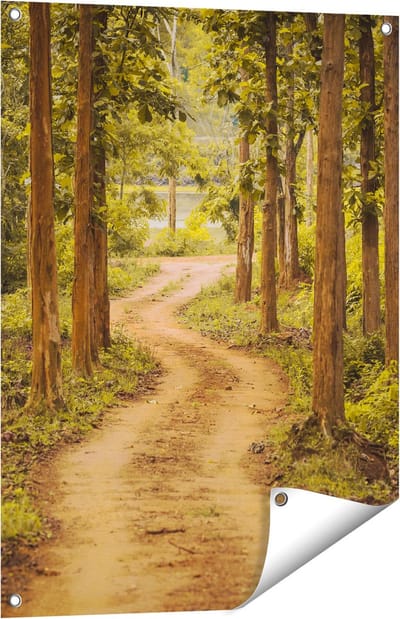 Gards Tuinposter Pad in het Bos met Bomen - 60x80 cm - Tuindoek - Tuindecoratie - Wanddecoratie buiten - Tuinschilderij
