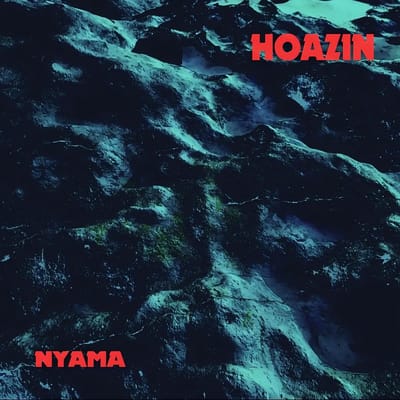 Hoazin - Nyama (LP)