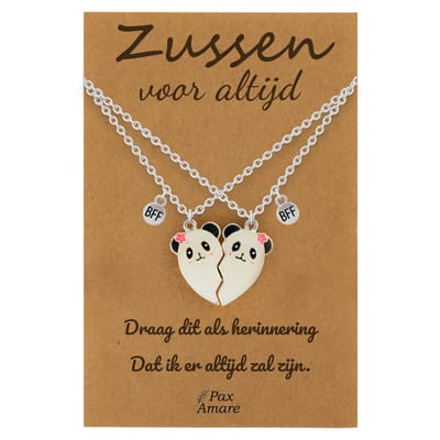 BFF Ketting voor 2 'Zussen voor altijd' - Magnetisch Hartje Panda's - Vriendschapsketting op Cadeau Kaartje - 45cm + 5cm verstelbaar - Zilverkleurig - Sisters Hanger - Pax Amare
