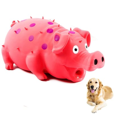 Oneay Piepend varkentje hondenspeelgoed – Duurzaam latex piepspeeltje voor kleine, middelgrote en grote honden – Rood