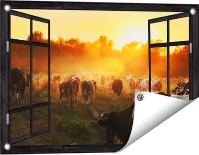Gards Tuinposter Doorkijk Kudde Koeien in Weiland bij Zonsondergang - 60x40 cm - Tuindoek - Tuindecoratie - Wanddecoratie buiten - Tuinschilderij
