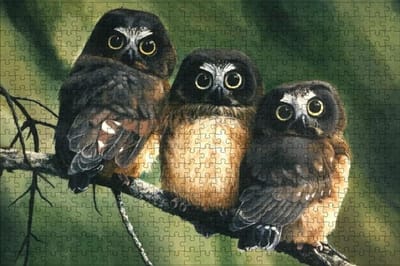 Puzzelboek Kinderen - Legpuzzel Dieren - Ontspannend Tijdverdrijf - 1000 Stukjes Ontwerp - 75x50cm - Veelkleurig